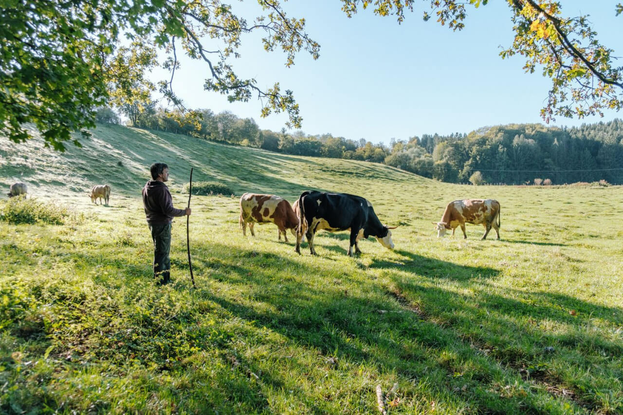 Bild von KlimaBauer Grenzebach