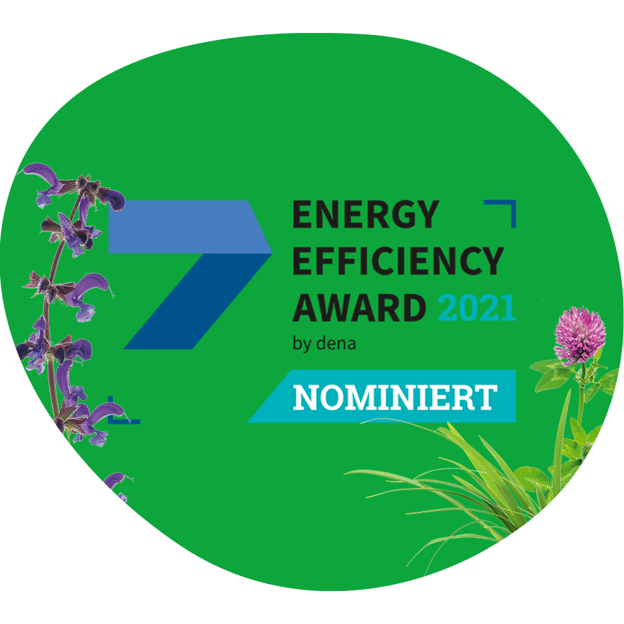 Energy Award